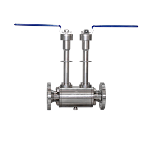 Cryogenic DBB Valves